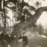 Bomen klimmen op landgoed Enghuizen  (ca. 1951)