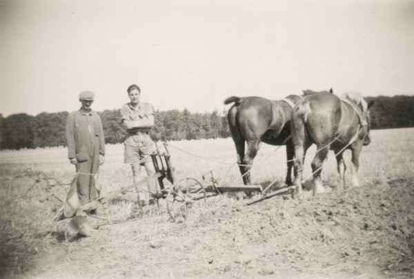 Gerrit Vrieze op het land nabij De Spalle omstreeks juli 1947 (Foto: collectie Fam. Levers)