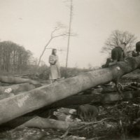 Bomen klimmen op landgoed Enghuizen  (ca. 1951)